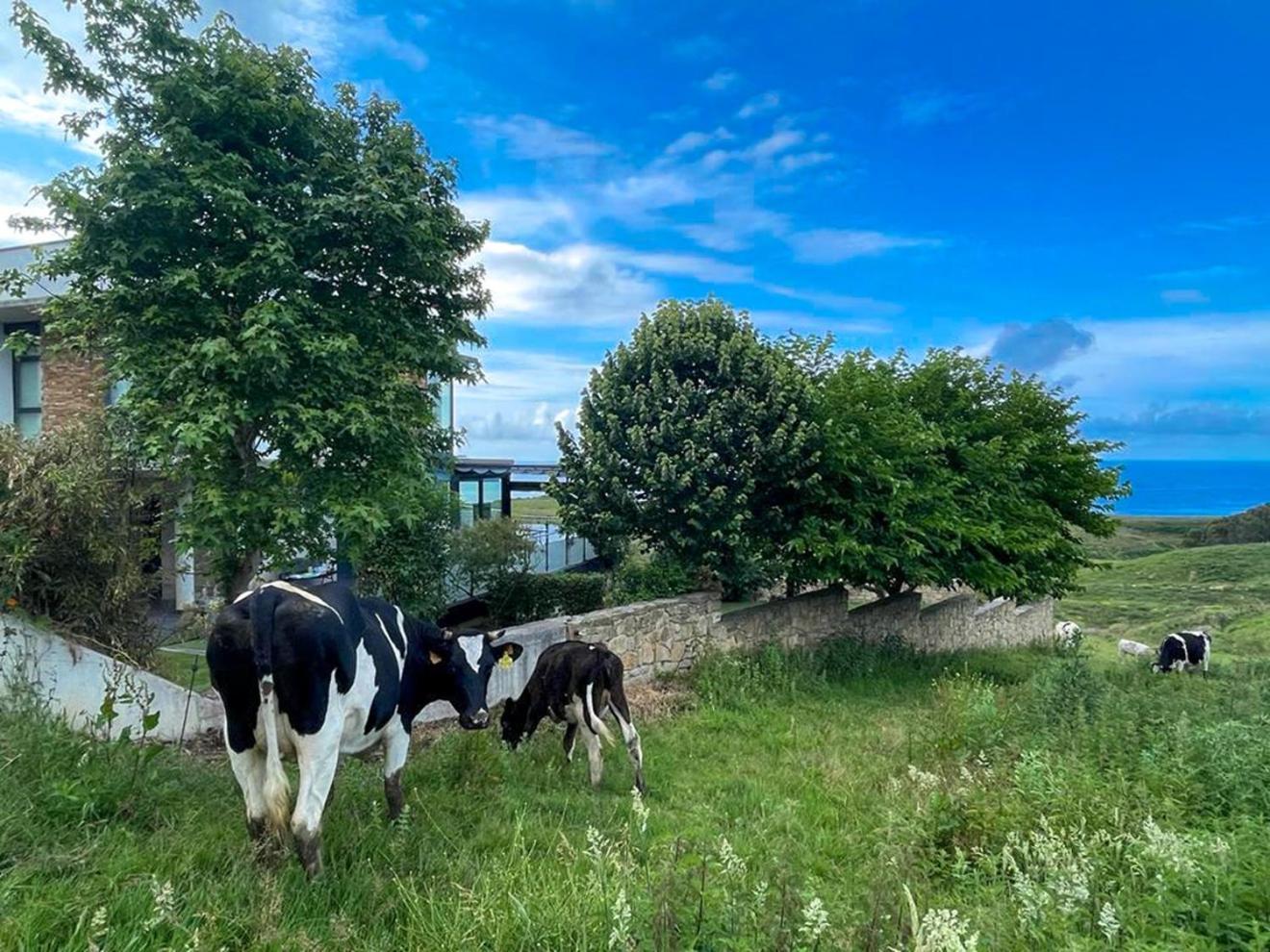 Villa Suances Tagle Dış mekan fotoğraf