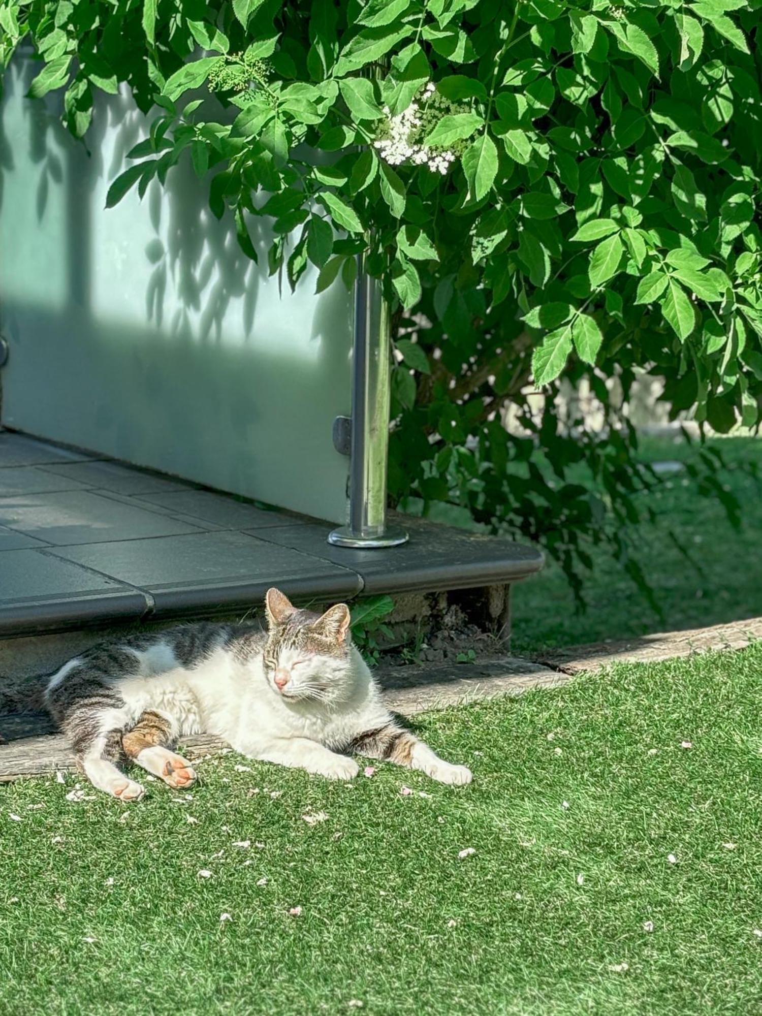 Villa Suances Tagle Dış mekan fotoğraf