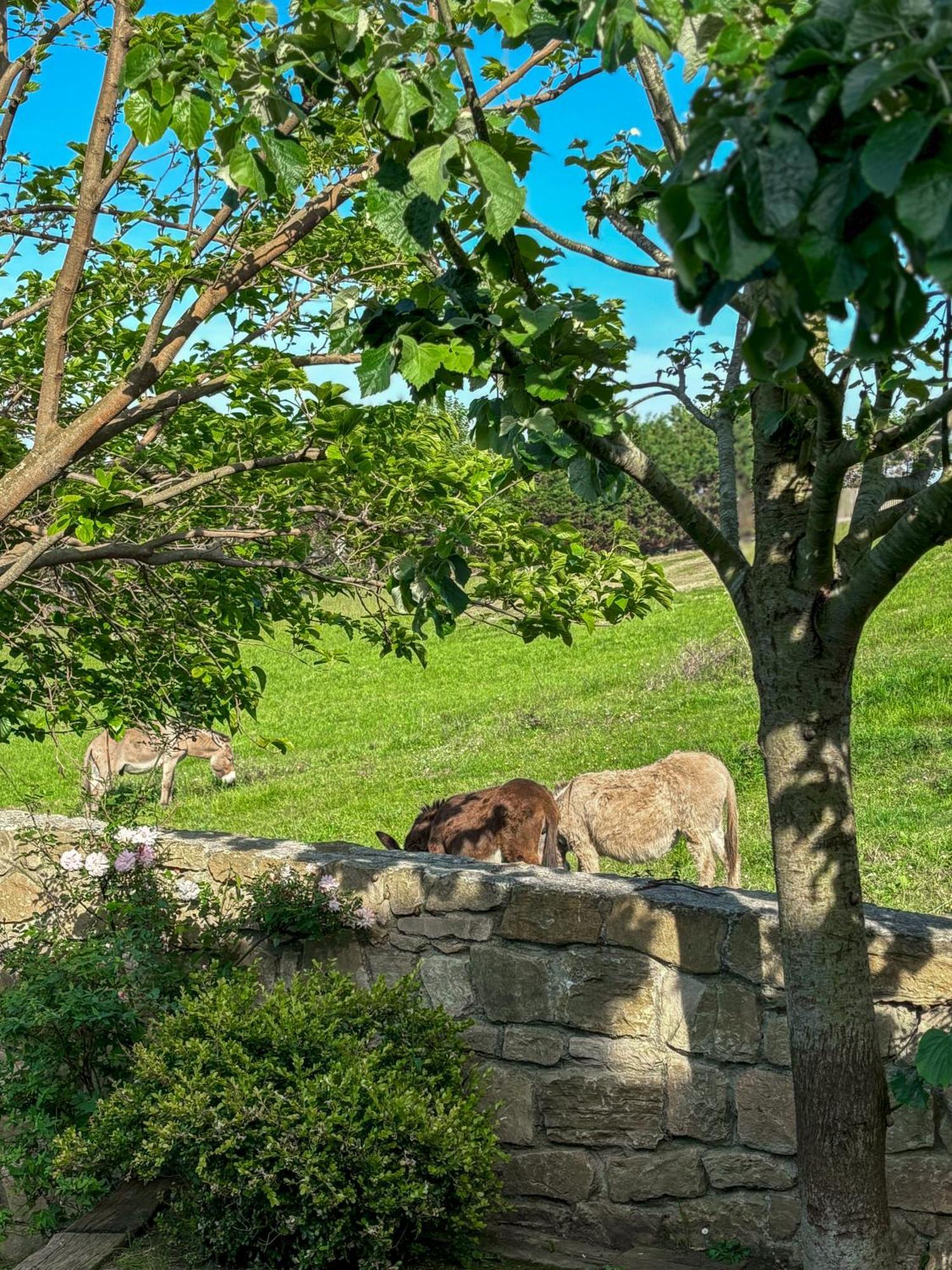 Villa Suances Tagle Dış mekan fotoğraf